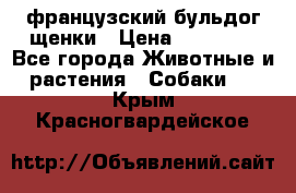 французский бульдог щенки › Цена ­ 50 000 - Все города Животные и растения » Собаки   . Крым,Красногвардейское